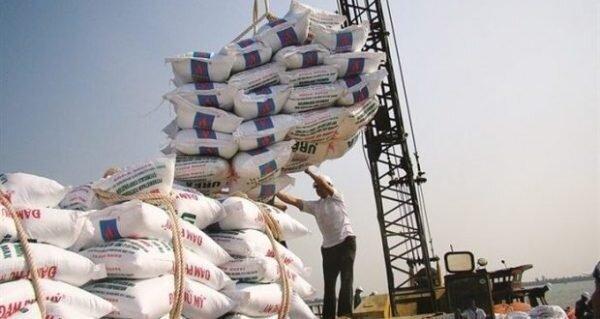 تبعات آزادسازی واردت برنج در گیلان