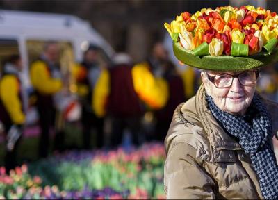 تصاویری جذاب از جشنواره گل لاله در هلند