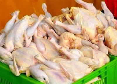 بیش از 7 هزار تن گوشت مرغ گرم امروز به بازار عرضه شد
