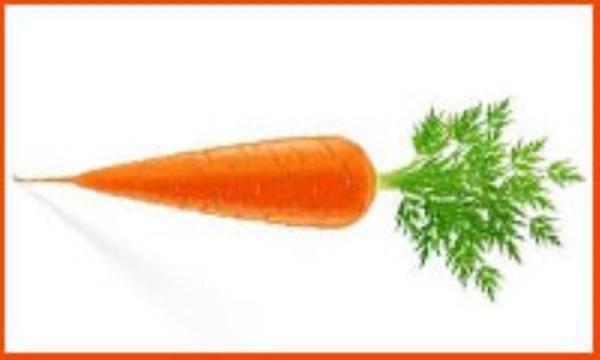 علائم و نشانه های آلرژی به هویج