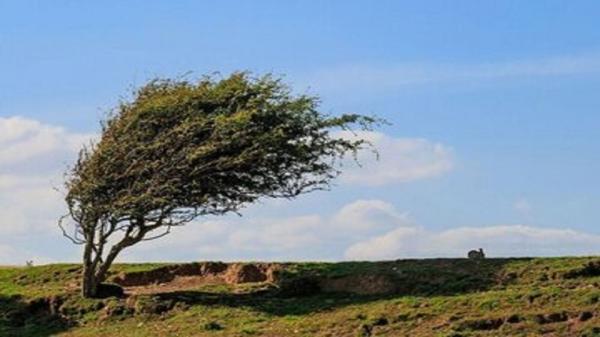 سرعت وزش باد در استان همدان افزایش می یابد