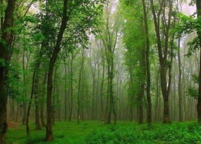 زیباکنار کرانه ای ساحلی به وسعت آسمان